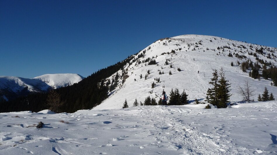 Snowshoe walking Auf den Rappold auf der Stubalm - Touren-Impression #2.3 | © Alpenverein Knittelfeld