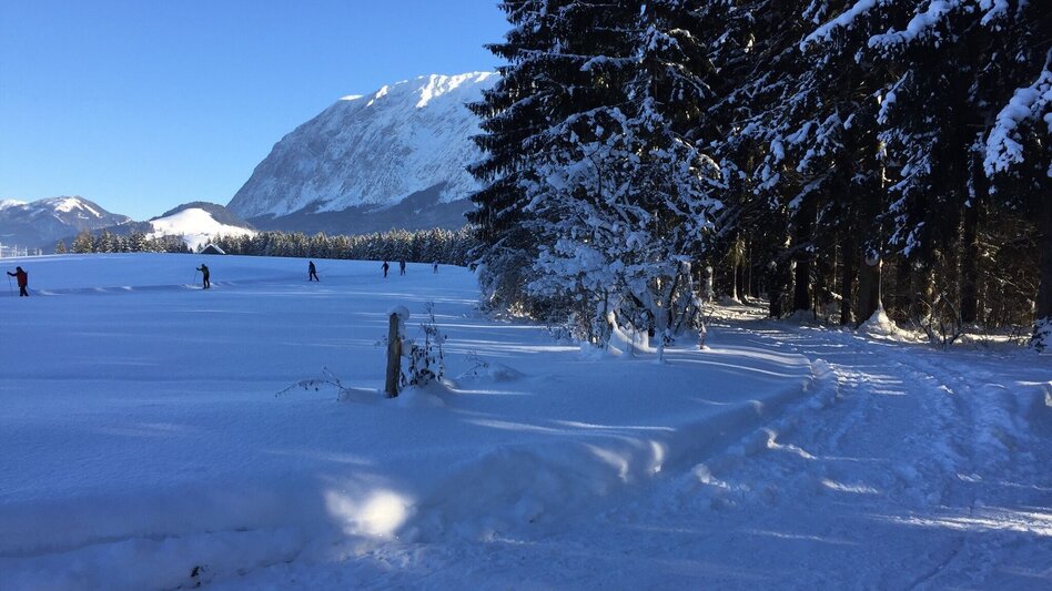 Winter Hiking Winter hike Bad Mitterndorf - Touren-Impression #2.4 | © Tourismusverband Ausseerland-Salzkammergut/S. Zink