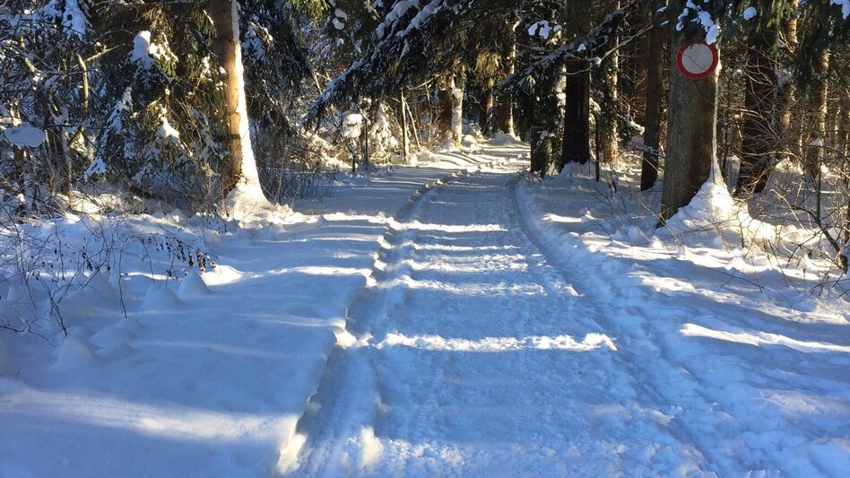 Winter Hiking Winter hike Bad Mitterndorf - Touren-Impression #2.5 | © Tourismusverband Ausseerland-Salzkammergut/S. Zink