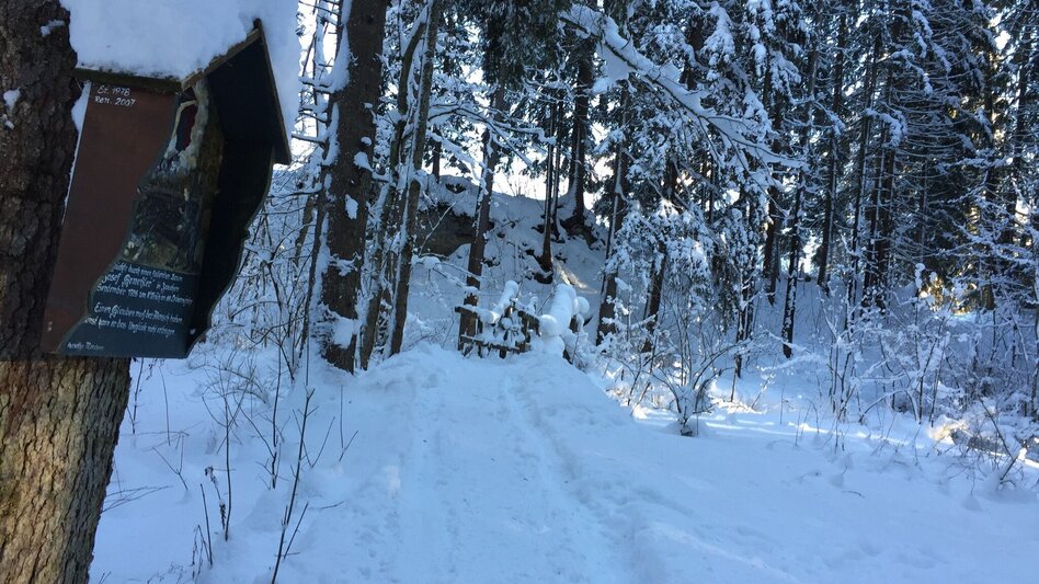Winter Hiking Winter hike Bad Mitterndorf - Touren-Impression #2.6 | © Tourismusverband Ausseerland-Salzkammergut/S. Zink