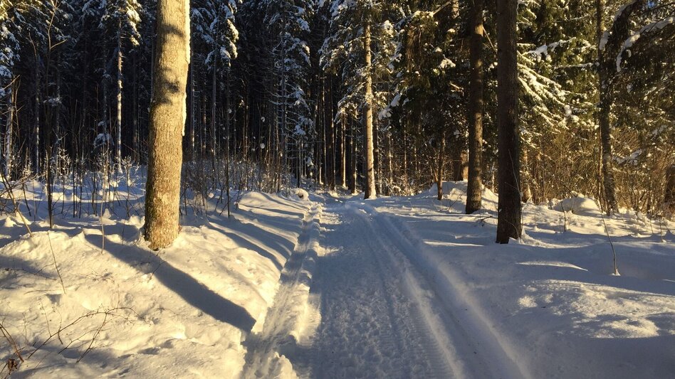 Winter Hiking Winter hike Bad Mitterndorf - Touren-Impression #2.7 | © Tourismusverband Ausseerland-Salzkammergut/S. Zink