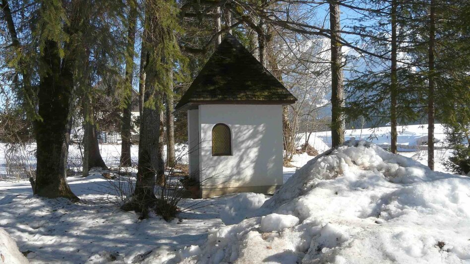 Winter Hiking Winter hike Bad Mitterndorf - Touren-Impression #2.9 | © TVB Ausseerland - Salzkammergut/H. Rastl