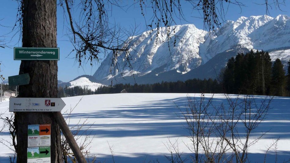 Winter Hiking Winter hike Bad Mitterndorf - Touren-Impression #2.10 | © TVB Ausseerland - Salzkammergut/H. Rastl