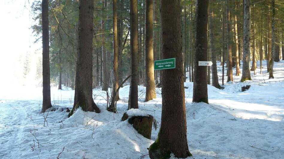 Winter Hiking Winter hike Bad Mitterndorf - Touren-Impression #2.13 | © TVB Ausseerland - Salzkammergut/H. Rastl