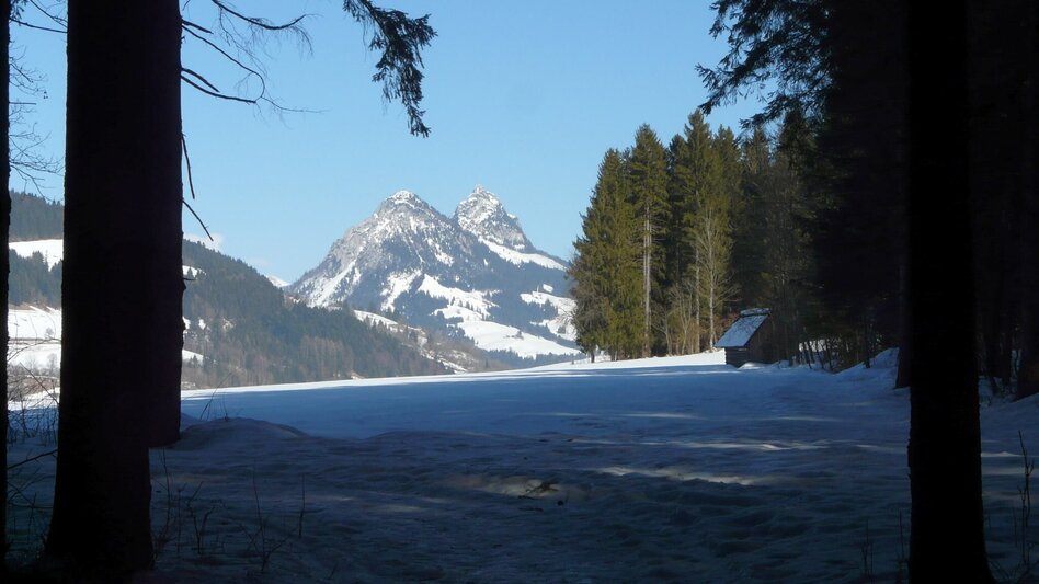 Winter Hiking Winter hike Bad Mitterndorf - Touren-Impression #2.14 | © TVB Ausseerland - Salzkammergut/H. Rastl