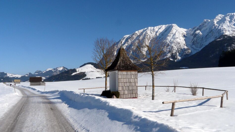 Winter Hiking Winter hike Bad Mitterndorf - Touren-Impression #2.2 | © TVB Ausseerland - Salzkammergut/H. Rastl