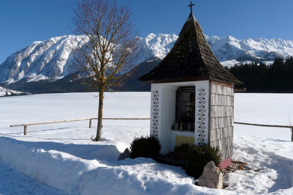 Winter Hiking Winter hike Bad Mitterndorf - Touren-Impression #1 | © TVB Ausseerland - Salzkammergut/H. Rastl