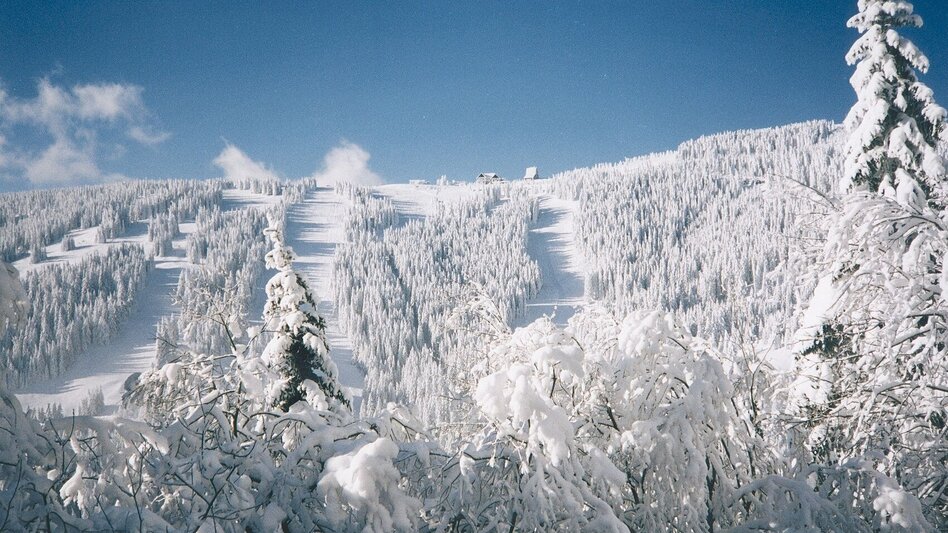Snowshoe walking Höhenwanderung am Gaberl - auf Turneralpe und Hirschkreuz - Touren-Impression #2.1 | © Region Graz