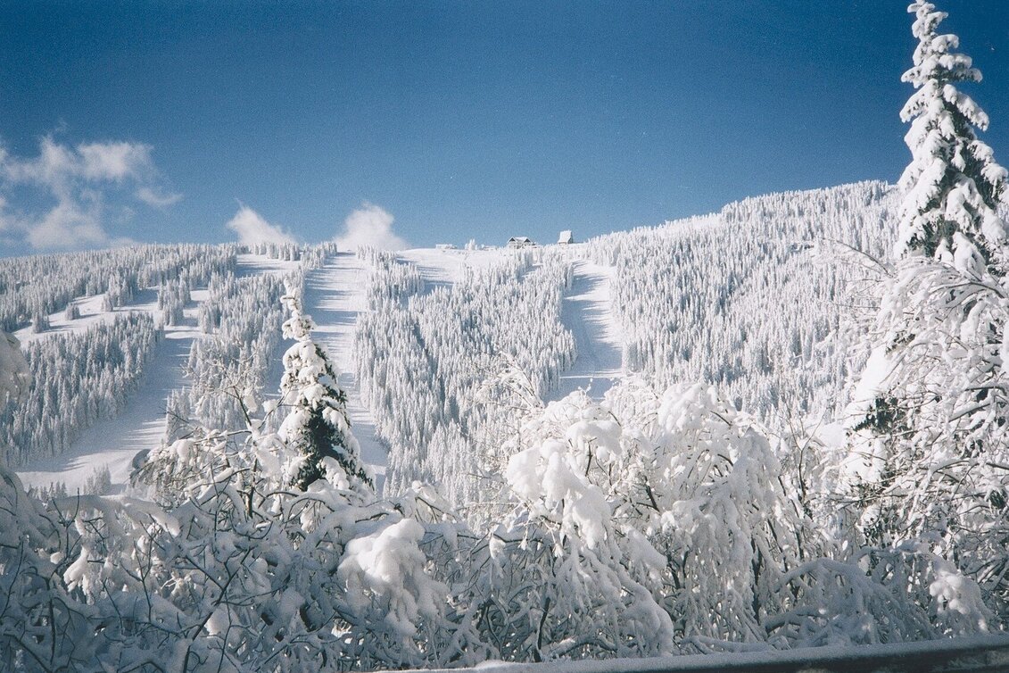 Snowshoe walking Höhenwanderung am Gaberl - auf Turneralpe und Hirschkreuz - Touren-Impression #1 | © Region Graz