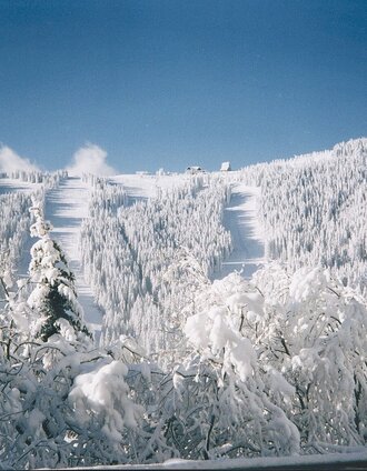 Blick auf's Gaberl im Winter | Familie Lipp | © Region Graz