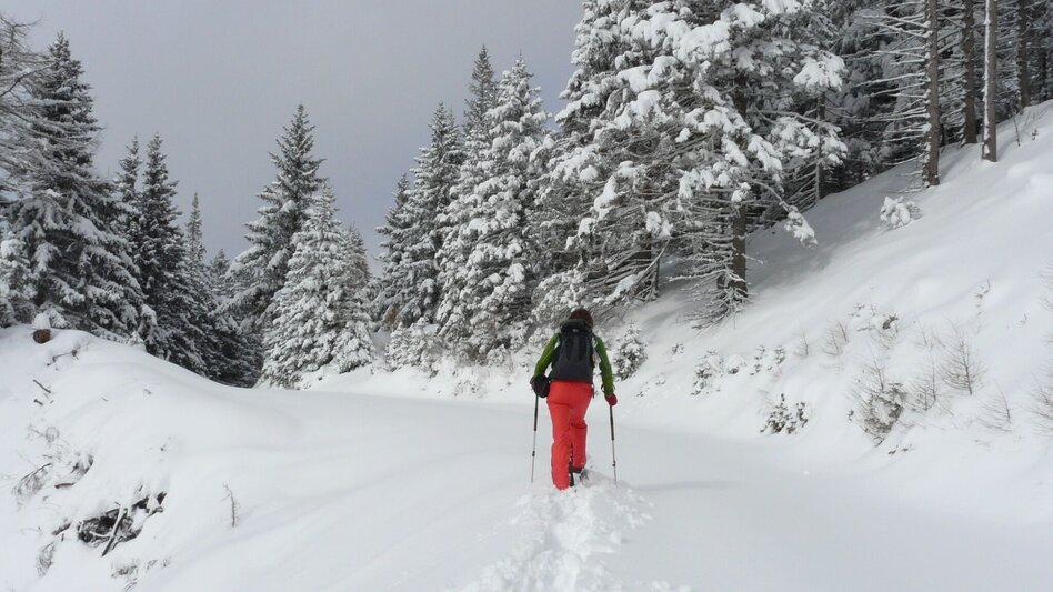 Snowshoe walking Höhenwanderung am Gaberl - auf Turneralpe und Hirschkreuz - Touren-Impression #2.2 | © (c) www.weg-es.at