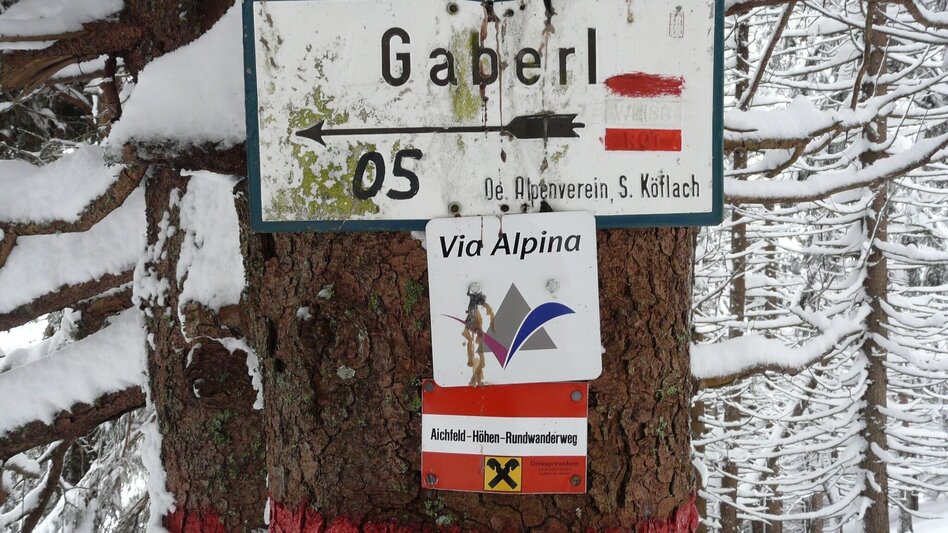 Snowshoe walking Höhenwanderung am Gaberl - auf Turneralpe und Hirschkreuz - Touren-Impression #2.3 | © (c) www.weg-es.at