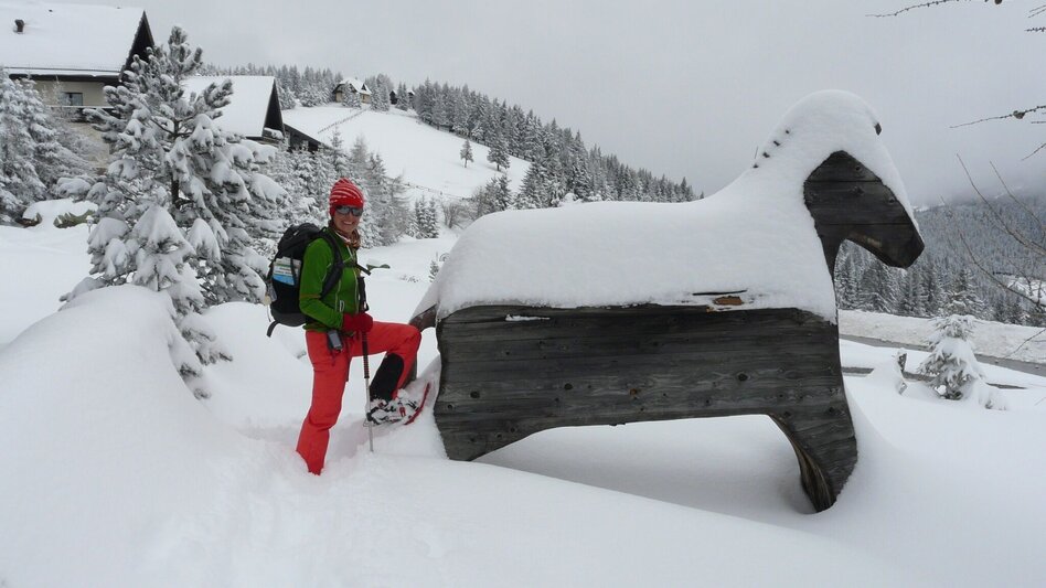 Snowshoe walking Höhenwanderung am Gaberl - auf Turneralpe und Hirschkreuz - Touren-Impression #2.4 | © (c) www.weg-es.at