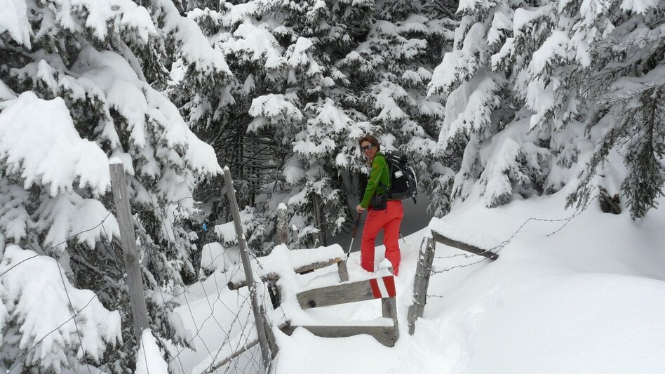 Snowshoe walking Höhenwanderung am Gaberl - auf Turneralpe und Hirschkreuz - Touren-Impression #2.5 | © (c) www.weg-es.at