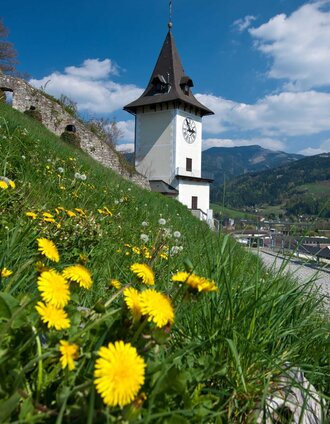 Der Brucker Schlossberg | © H. Schiffer