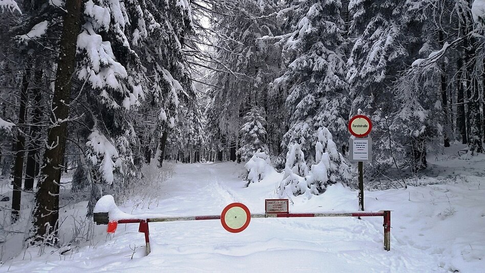 Snowshoe walking Im Schnee auf die Packeralpe - Touren-Impression #2.2 | © Region Graz