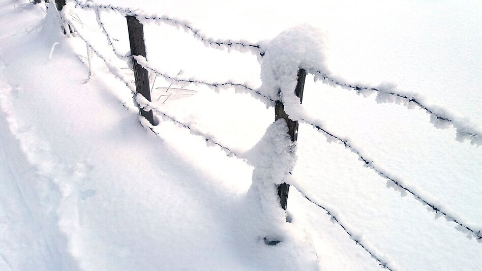 Snowshoe walking Im Schnee auf die Packeralpe - Touren-Impression #2.4 | © Region Graz