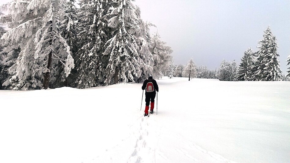 Snowshoe walking Im Schnee auf die Packeralpe - Touren-Impression #2.5 | © Region Graz