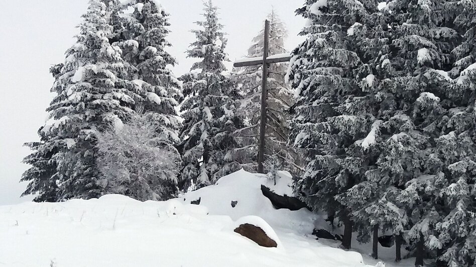 Snowshoe walking Im Schnee auf die Packeralpe - Touren-Impression #2.6 | © Region Graz
