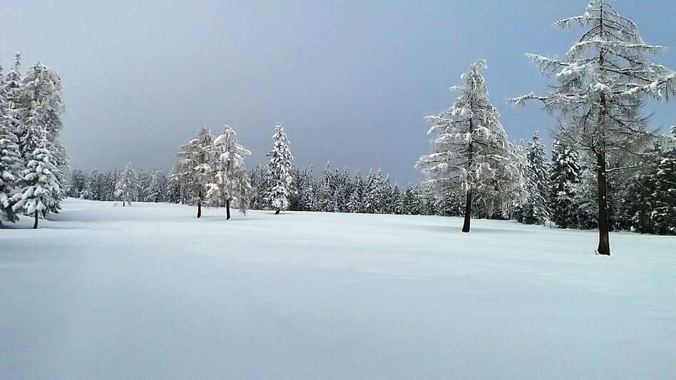 Snowshoe walking Im Schnee auf die Packeralpe - Touren-Impression #2.7 | © Region Graz
