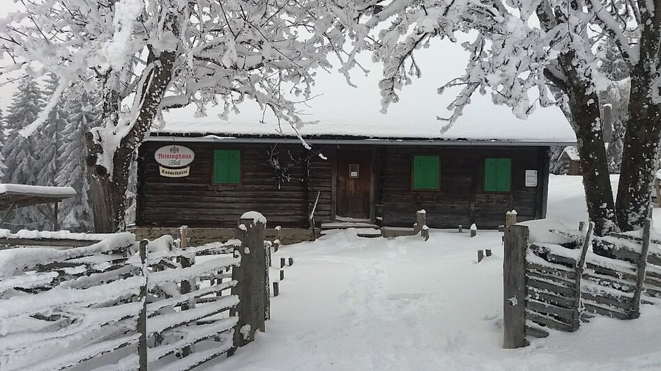 Snowshoe walking Im Schnee auf die Packeralpe - Touren-Impression #2.8 | © Region Graz