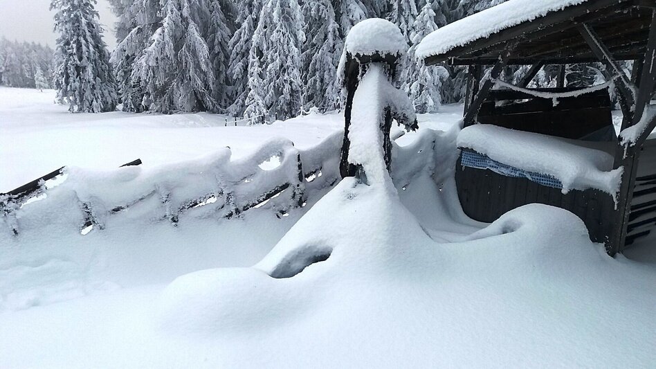 Snowshoe walking Im Schnee auf die Packeralpe - Touren-Impression #2.9 | © Region Graz