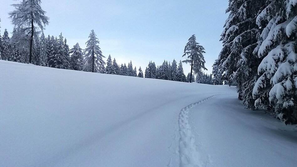 Snowshoe walking Im Schnee auf die Packeralpe - Touren-Impression #2.10 | © Region Graz
