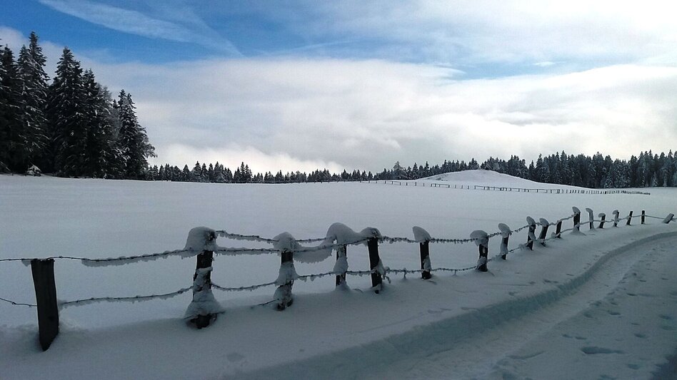 Snowshoe walking Im Schnee auf die Packeralpe - Touren-Impression #2.11 | © Region Graz