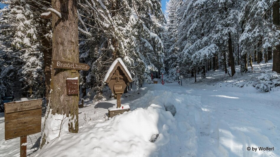 Snowshoe walking Im Schnee auf die Packeralpe - Touren-Impression #2.13 | © Community