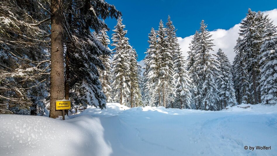 Snowshoe walking Im Schnee auf die Packeralpe - Touren-Impression #2.14 | © Community