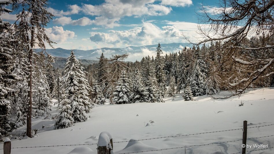 Snowshoe walking Im Schnee auf die Packeralpe - Touren-Impression #2.15 | © Community