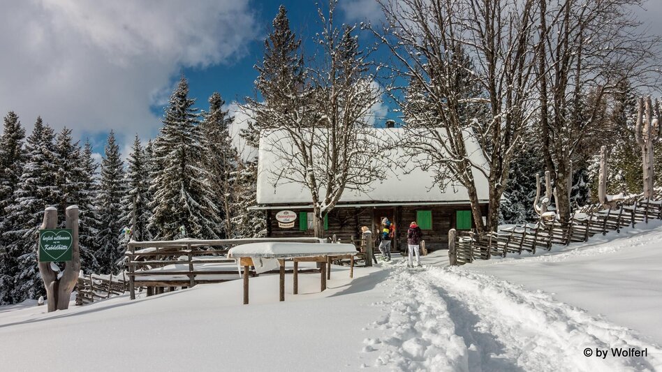 Snowshoe walking Im Schnee auf die Packeralpe - Touren-Impression #2.17 | © Community
