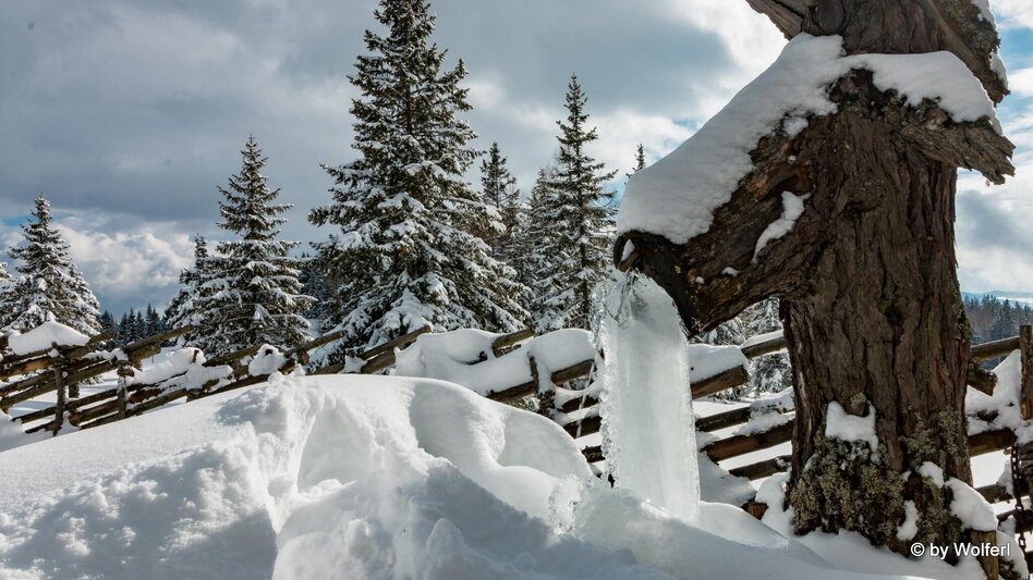 Snowshoe walking Im Schnee auf die Packeralpe - Touren-Impression #2.18 | © Community