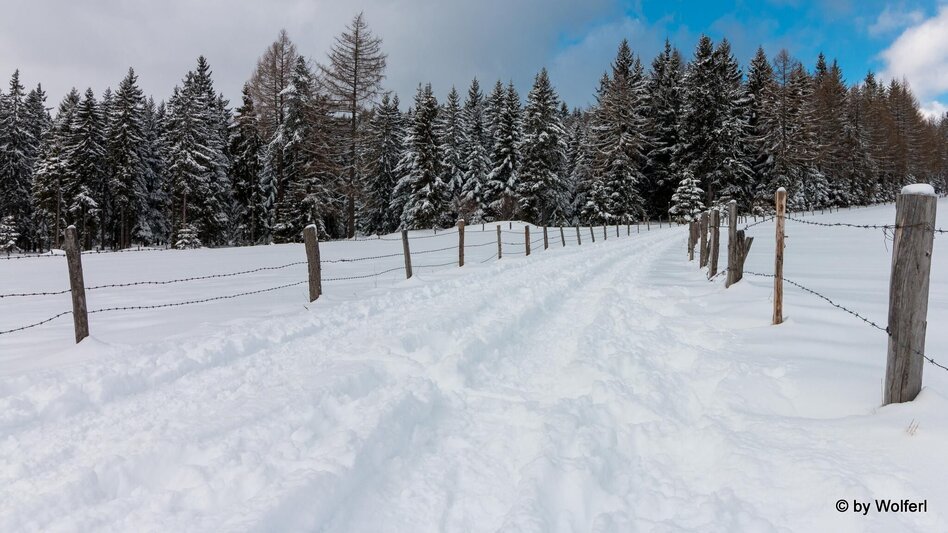 Snowshoe walking Im Schnee auf die Packeralpe - Touren-Impression #2.19 | © Community