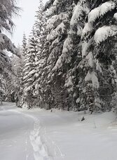 Schneeschuhwandern auf der Packeralpe | © Region Graz | TV Lipizzanerheimat/EU | © Region Graz