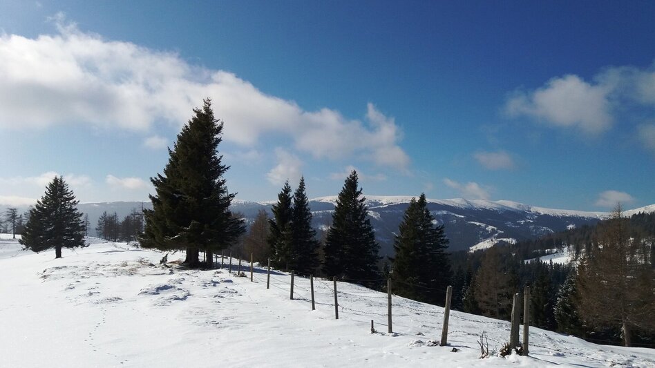 Schneeschuh Über die Gmoa-Alm - Touren-Impression #2.4 | © Region Graz
