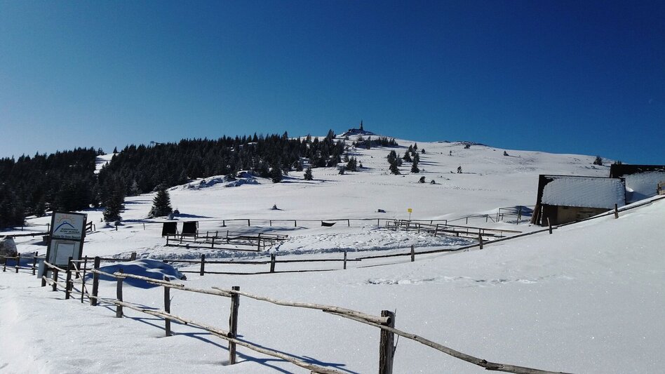Schneeschuh Über die Gmoa-Alm - Touren-Impression #2.5 | © Region Graz