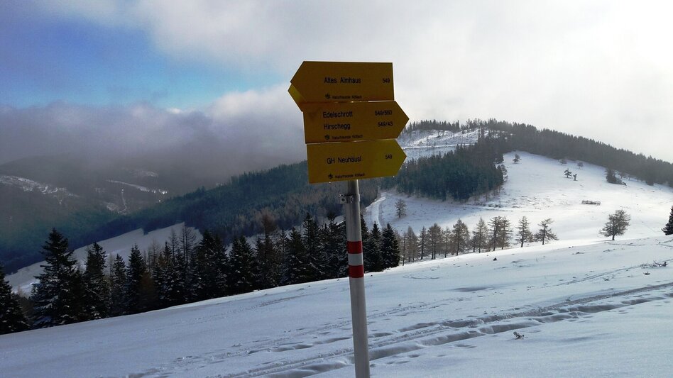 Schneeschuh Über die Gmoa-Alm - Touren-Impression #2.8 | © Region Graz