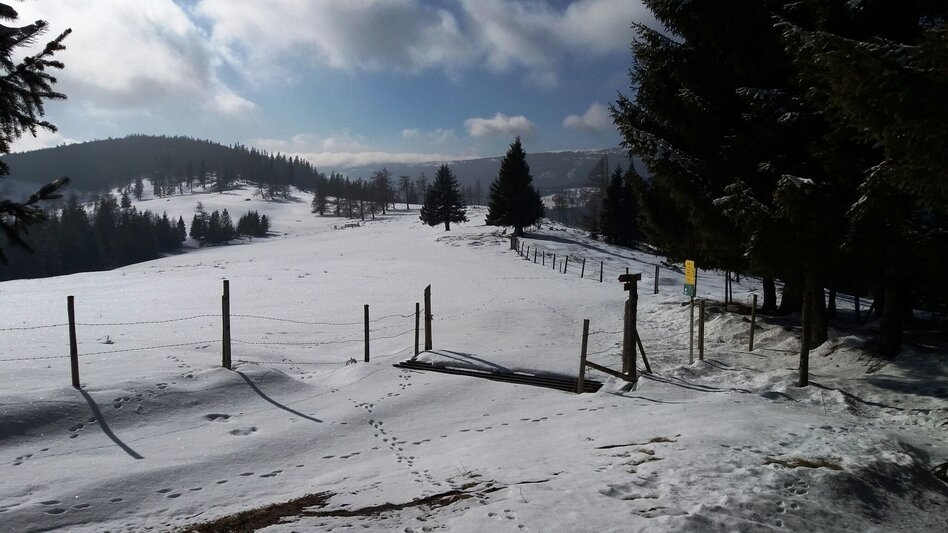 Schneeschuh Über die Gmoa-Alm - Touren-Impression #2.10 | © Region Graz