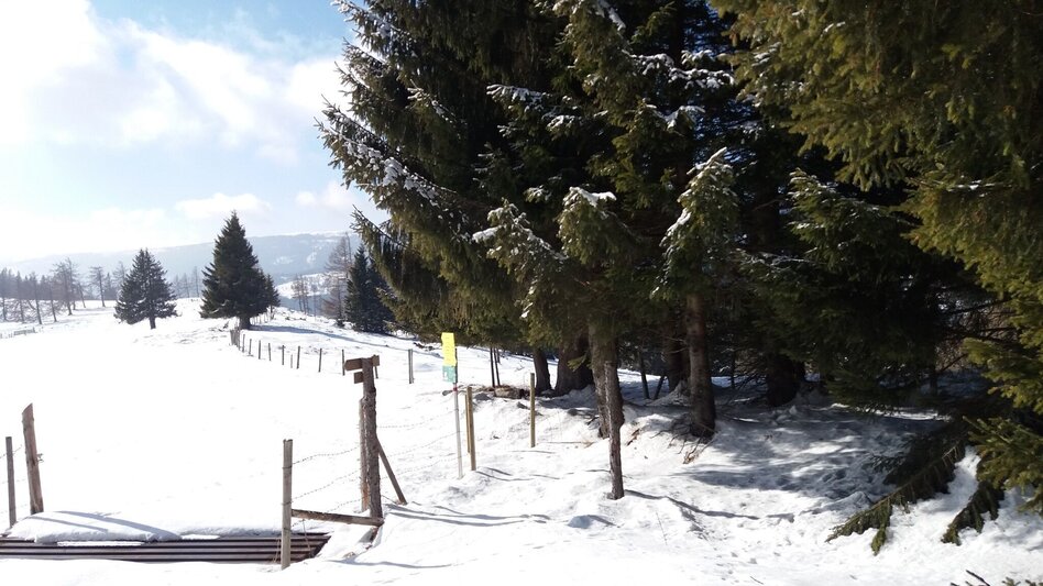 Schneeschuh Über die Gmoa-Alm - Touren-Impression #2.11 | © Region Graz