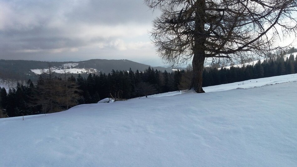 Schneeschuh Über die Gmoa-Alm - Touren-Impression #2.12 | © Region Graz