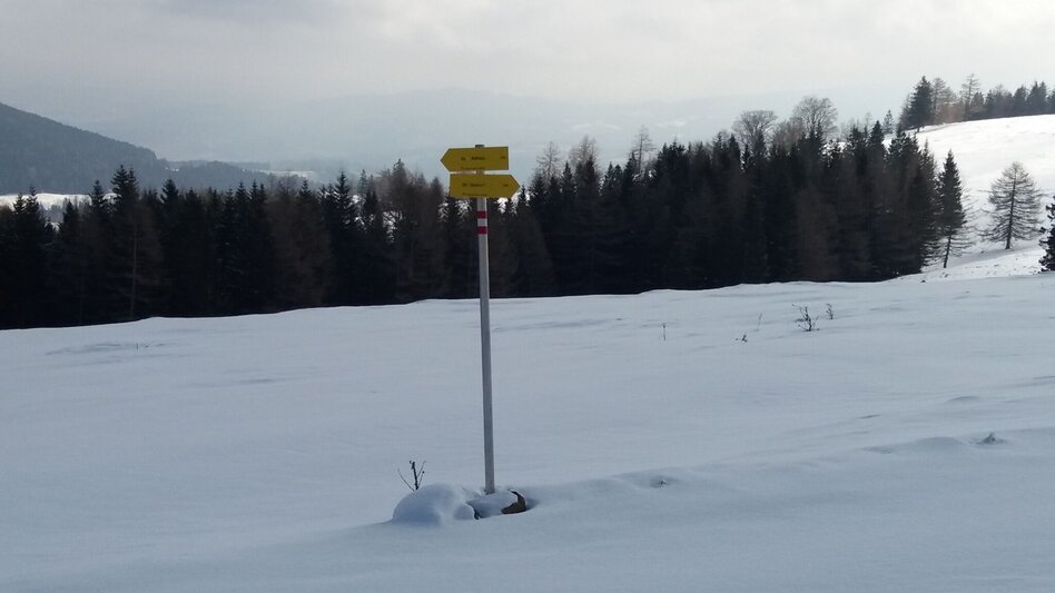 Schneeschuh Über die Gmoa-Alm - Touren-Impression #2.13 | © Region Graz