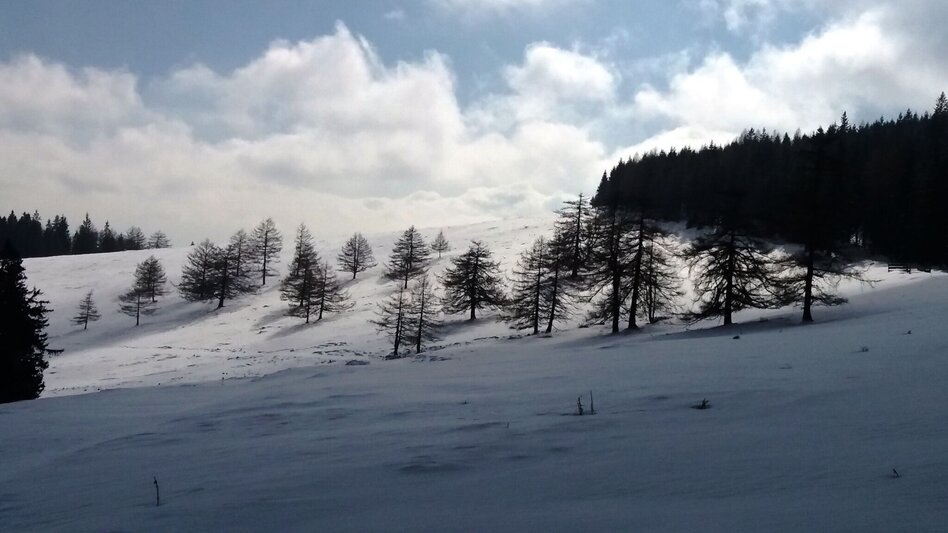 Schneeschuh Über die Gmoa-Alm - Touren-Impression #2.14 | © Region Graz