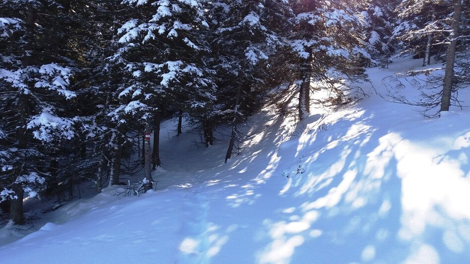 Schneeschuh Über die Gmoa-Alm - Touren-Impression #2.18 | © Region Graz