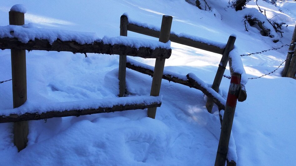 Schneeschuh Über die Gmoa-Alm - Touren-Impression #2.19 | © Region Graz