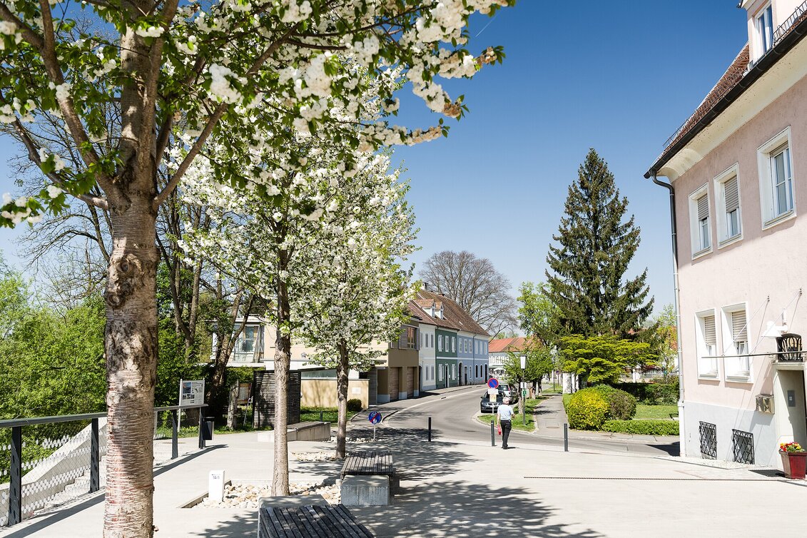Radfahren Herberstorff-Tour - Touren-Impression #1 | © Thermen- & Vulkanland