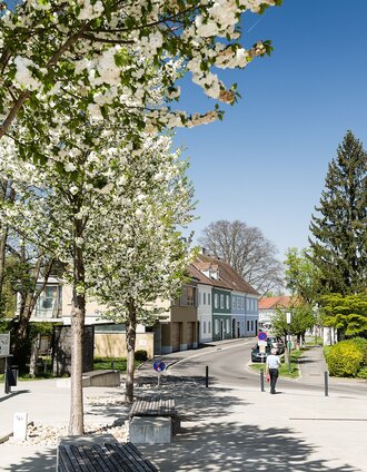 Bad Radkersburg erblüht im Frühling nahe der Grenzbrücke nach Gornja Radgona | pixelmaker.at | © Thermen- & Vulkanland