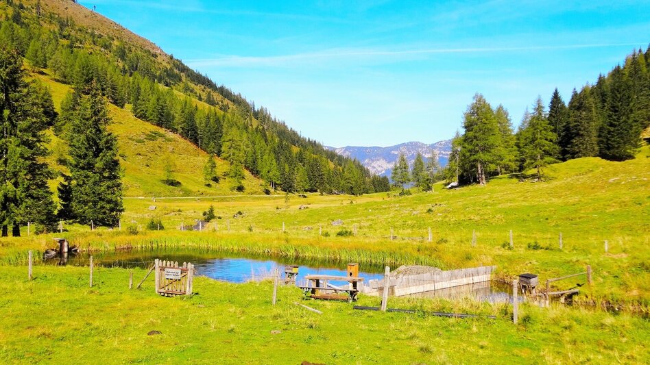 Wanderung Gumpental - Moaralmsee - Touren-Impression #2.2 | © Unbekannt