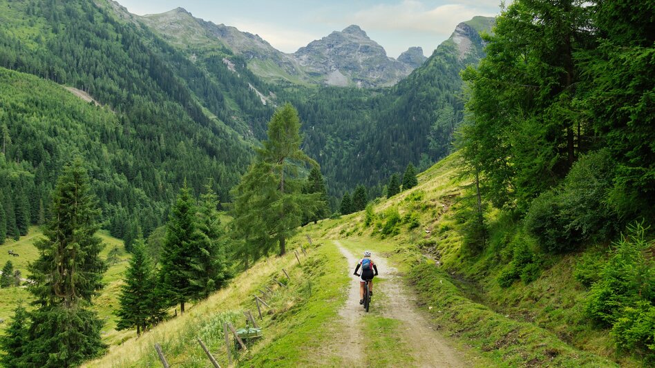 Mountain Biking Kaibling Tour | 309 - Touren-Impression #2.1