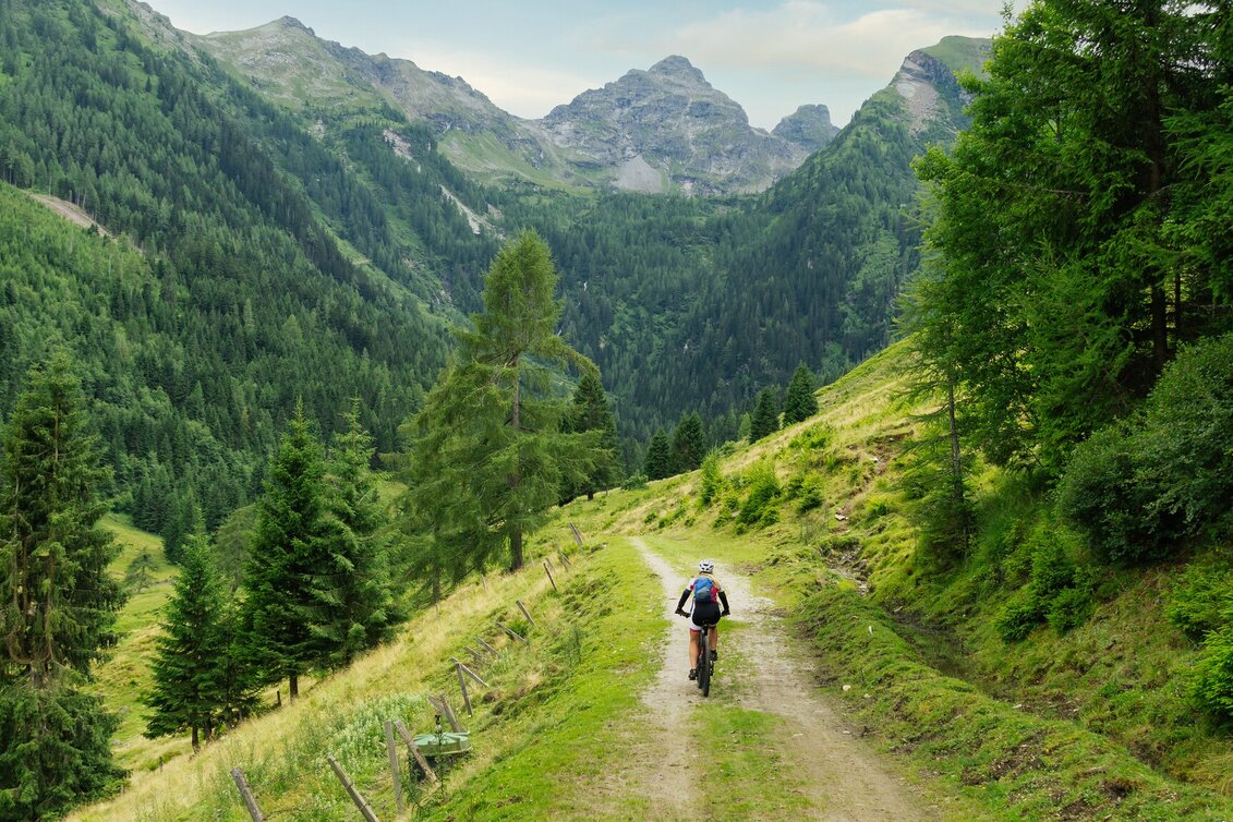 Mountain Biking Kaibling Tour | 309 - Touren-Impression #1
